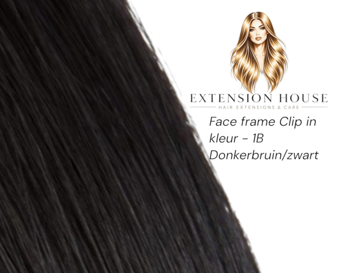 Face Frame Clip-In Extensions