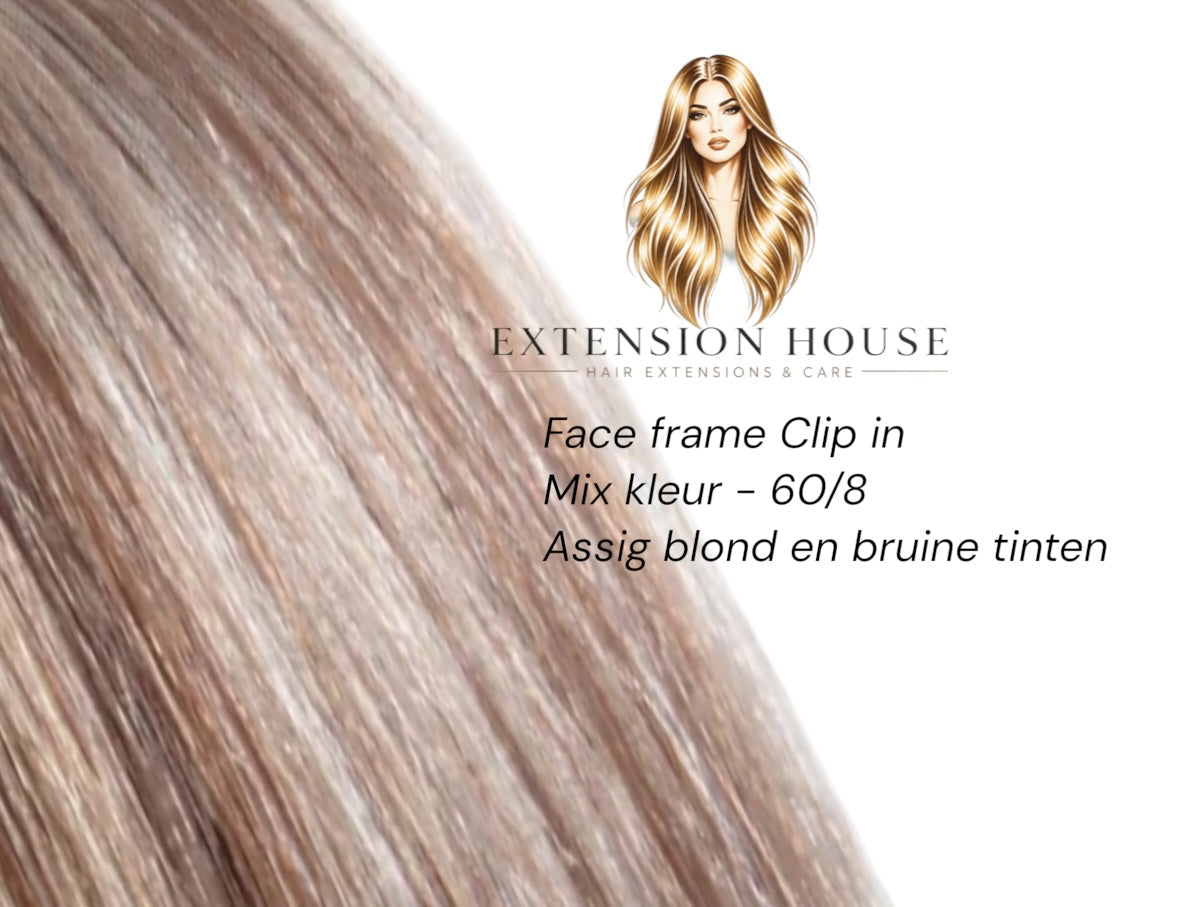 Face Frame Clip-In Extensions
