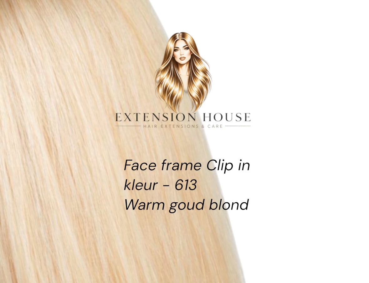 Face Frame Clip-In Extensions