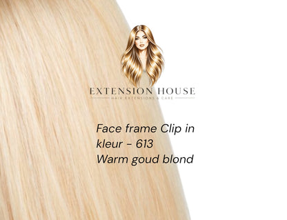 Face Frame Clip-In Extensions