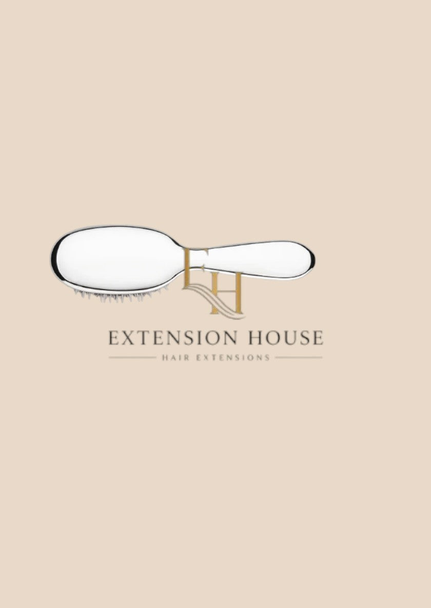 Extension House ovale haarborstel met natuurlijke borstelharen en zilverkleurige afwerking.